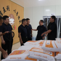 益海嘉里集团莅临永济调研指导 共促“永济面师”品牌新发展